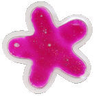 Water Pink